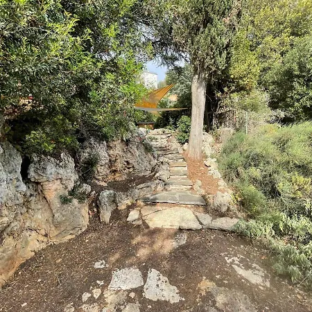 Degli Ulivi Terrace Massa Marittima