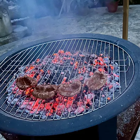 Degli Ulivi Terrace * Massa Marittima