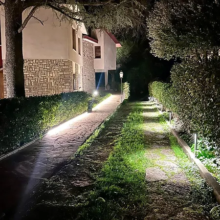 Degli Ulivi Terrace Appartement *