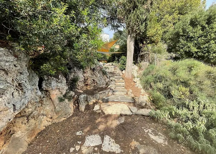 Degli Ulivi Terrace マッサ・マリッティマ