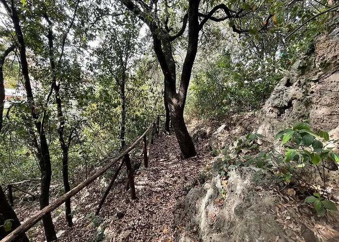 アパート Degli Ulivi Terrace