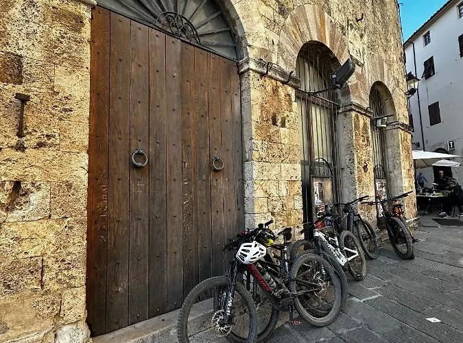 Degli Ulivi Terrace アパート