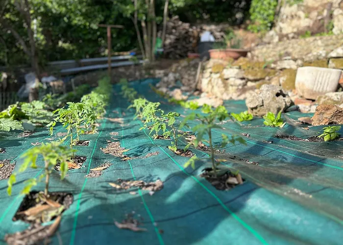 Degli Ulivi Terrace *